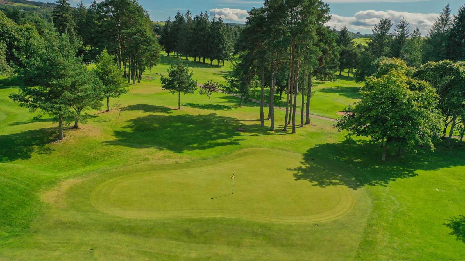 Aerial view of a green and pine trees on the Blairs 9-hole course at Deeside Golf Club