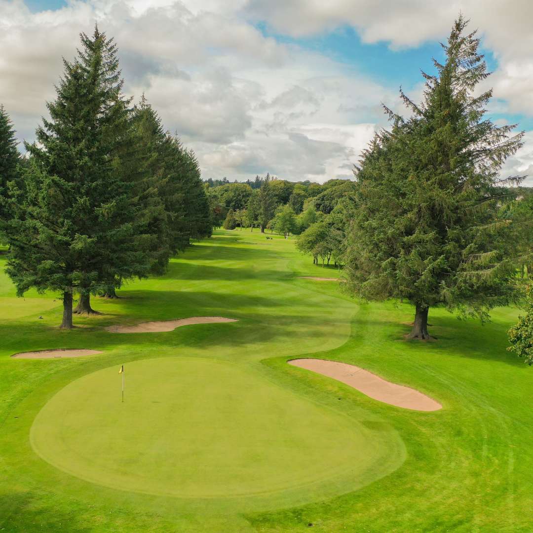 Golf green framed by pine trees on the Blairs 9-hole course at Deeside Golf Club. Aberdeenshire