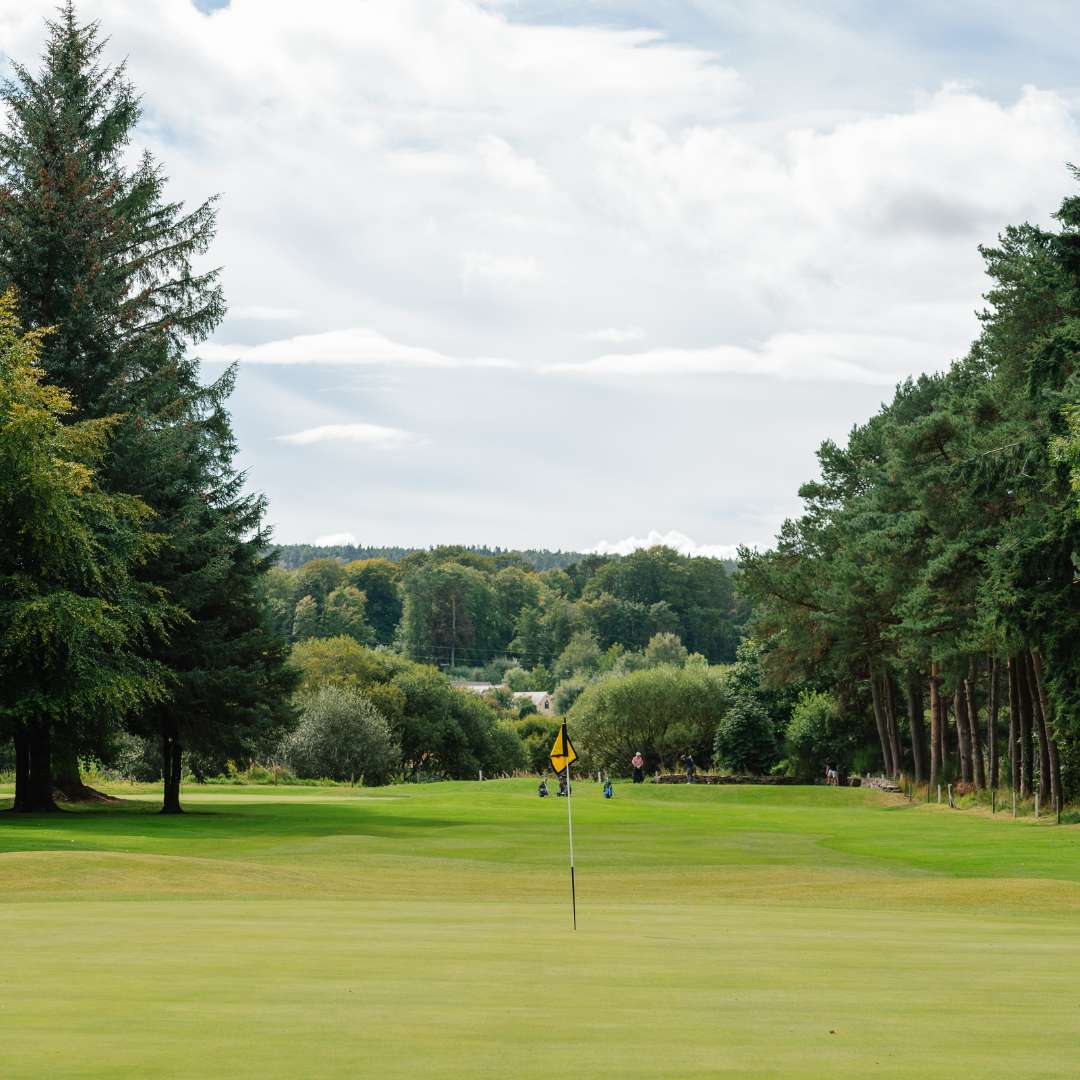 Golf green with yellow flag on the Blairs course at Deeside Golf Club, Aberdeenshire