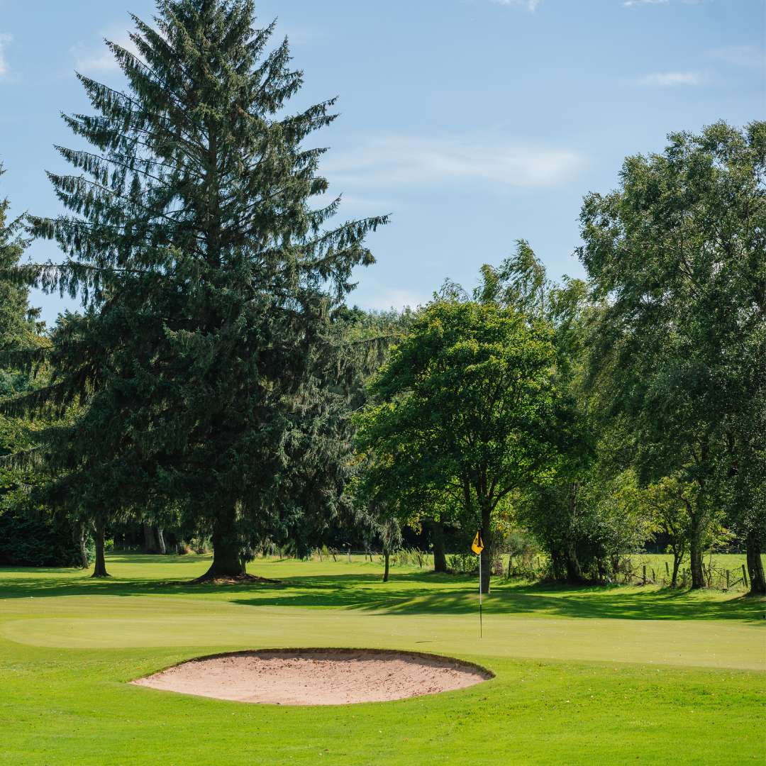 Golf green with bunker on the Blairs course at Deeside Golf Club