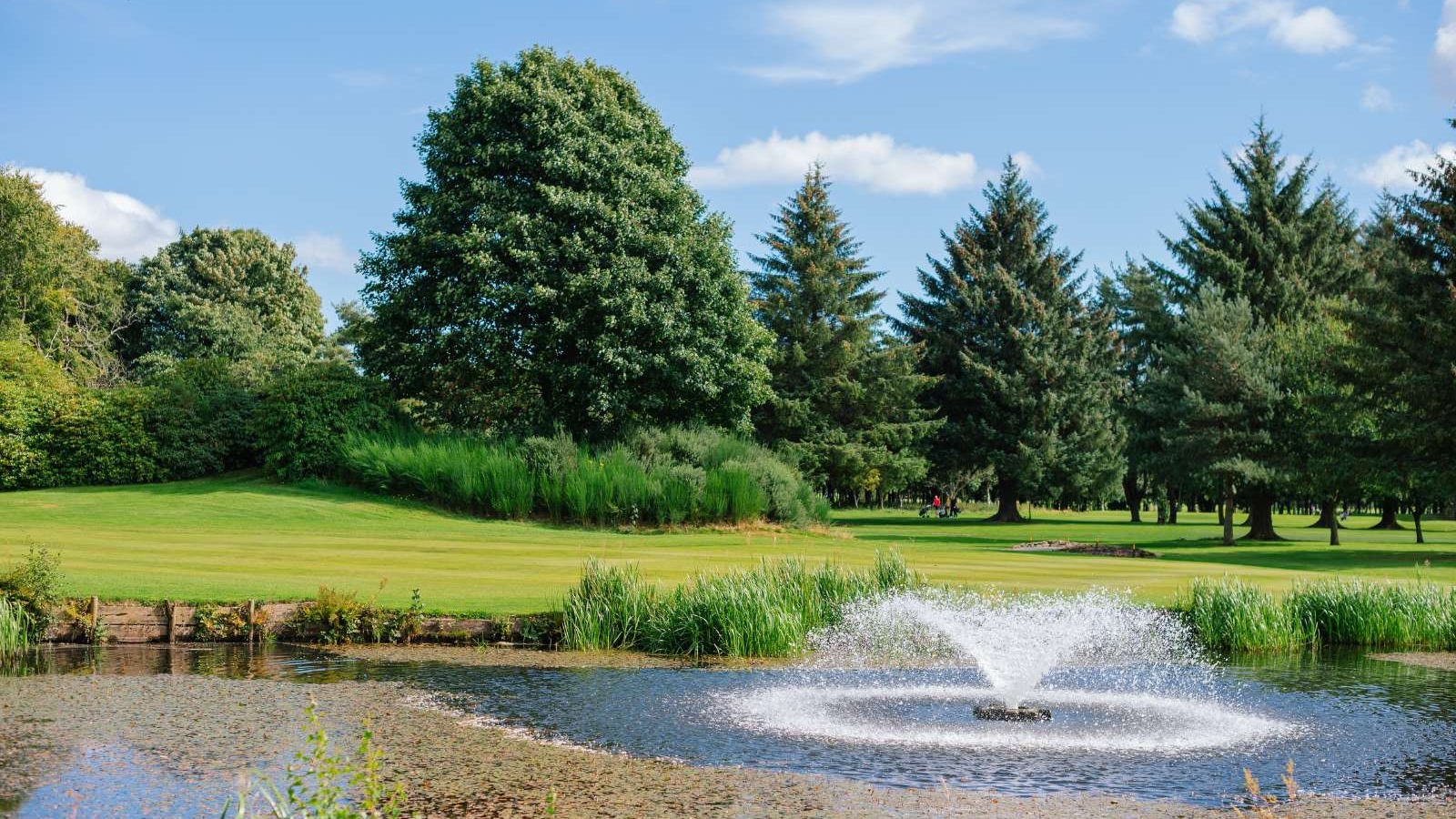 Aerial view of a golf green, bunkers and pond on the Haughton Course at Deeside Golf Club