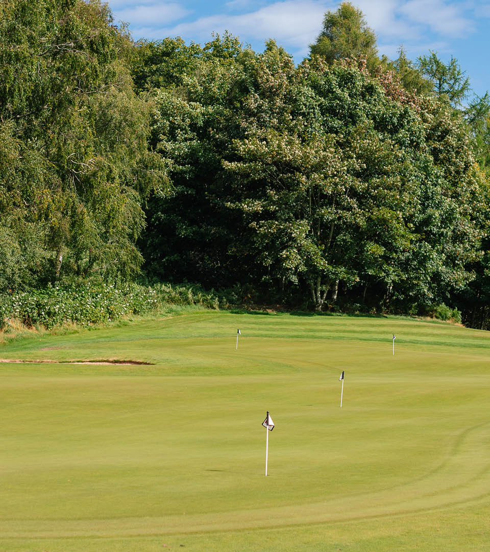 Putting green in the short-game practice area at Deeside Golf Club