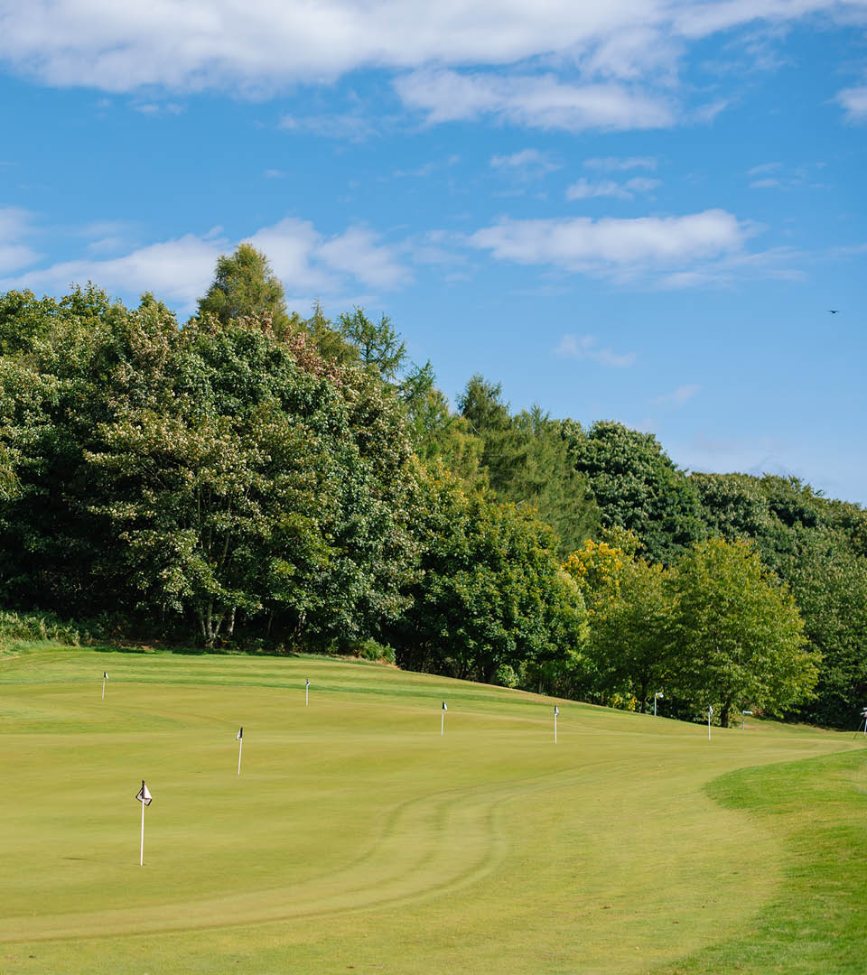 Short-game practice area with multiple putting flags at Deeside Golf Club